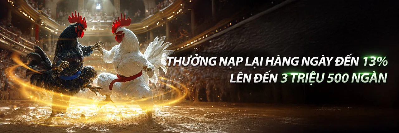 Sân vận động bóng đá lớn với khán đài đông đúc, biểu tượng cho cá cược thể thao sôi động tại da88 chính thức